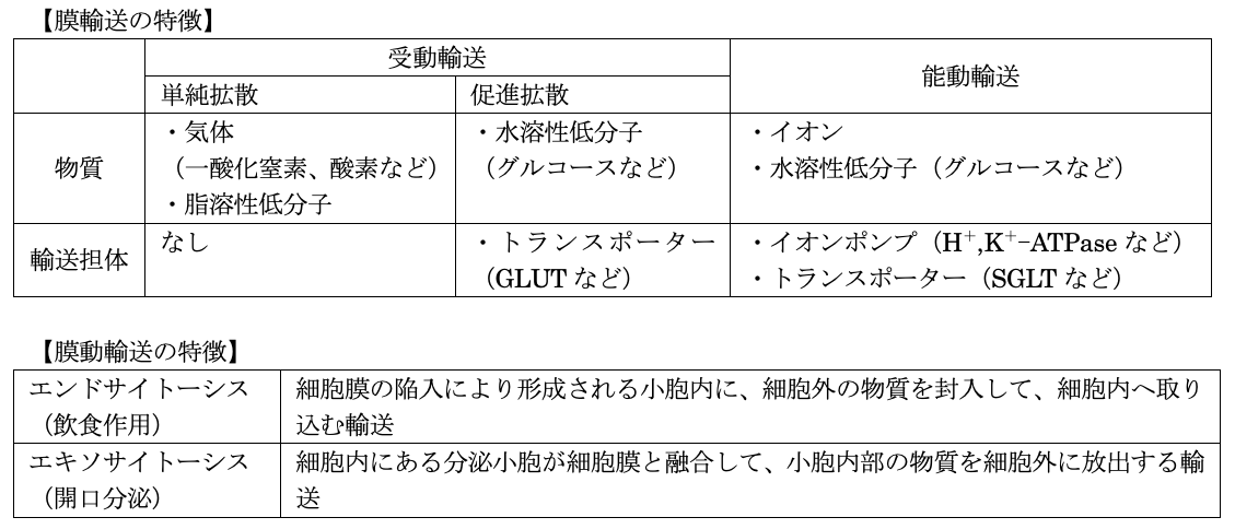 解説画像